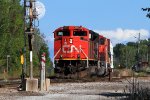 CN 8810